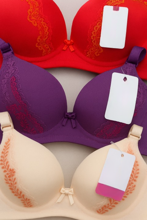 Silk Embroidered Padded Bra for Women – Luxury Undergarment with Soft Silk Fabric, Stylish Embroidery, Comfortable Fit & Everyday  Random color